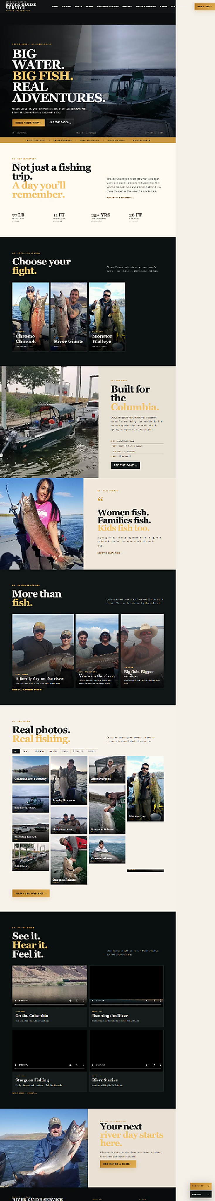 Website project preview